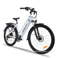 Fashion City Electric Bike